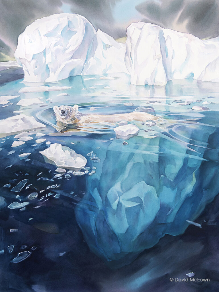 watercolour painting of a polar bear floating in the water in front of an iceberg
